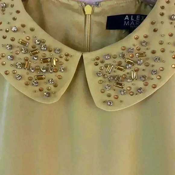 Alex Marie Sleeveless Sheath Dress - Picture 3 of 6